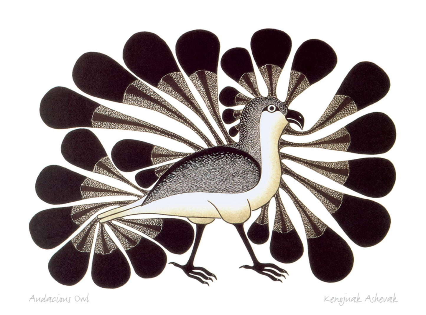 Audacious Owl by Kenojuak Ashevak, Indigenous Inuit Art Card, Aboriginal Decor, Framed Art Card