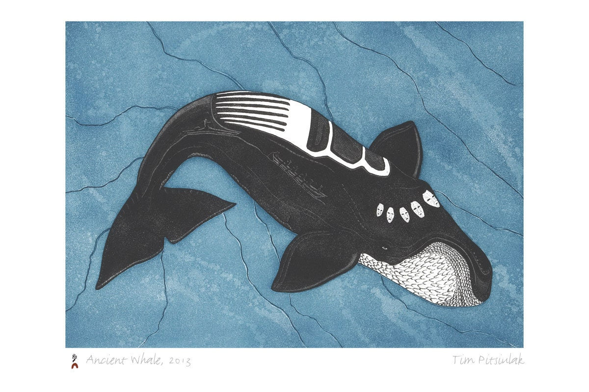 Ancient Whale, 2013 by Tim Pitsiulak, Indigenous Art Card, Inuit Framed Art Card