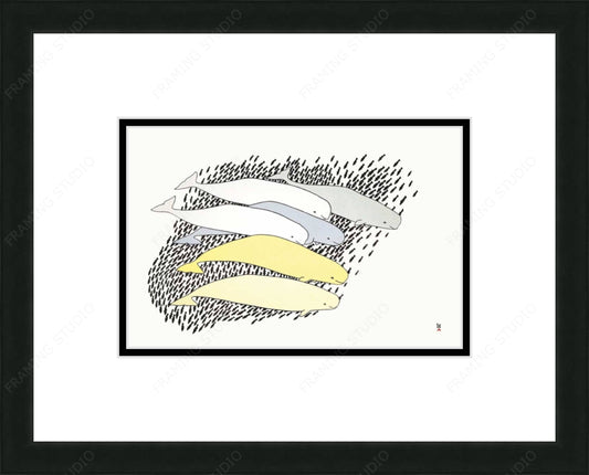 Qilalugaq (Beluga) by Tim Pitsiulak, Indigenous Art Card, Inuit Framed Art Card