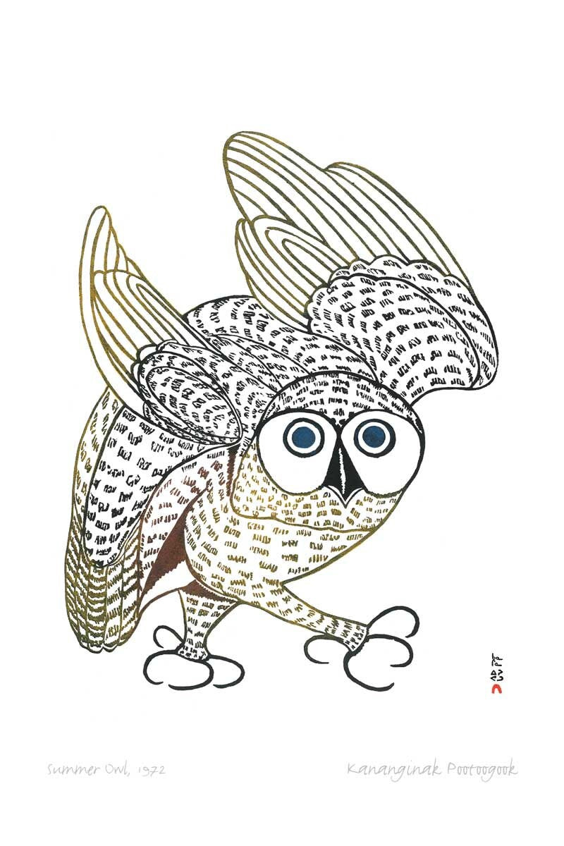 Summer Owl, 1972 by Kananginak Pootoogook, Indigenous Art Card, Inuit Framed Art Card