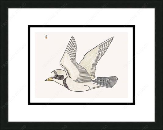 Sailing On The Breeze, 1984 by Kananginak Pootoogook, Indigenous Art Card, Inuit Framed Art Card