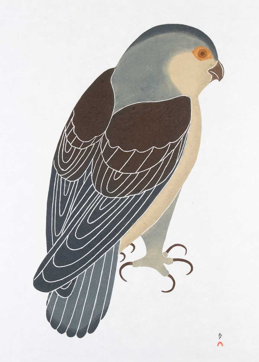 Watchful Falcon, 1989 by Kananginak Pootoogook, Indigenous Art Card, Inuit Framed Art Card