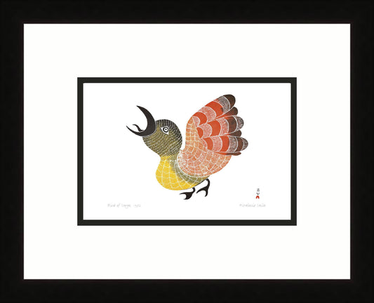 Bird Of Sargo, 1972 by Pitaloosie Saila,  Inuit Art Card, Framed Art Card