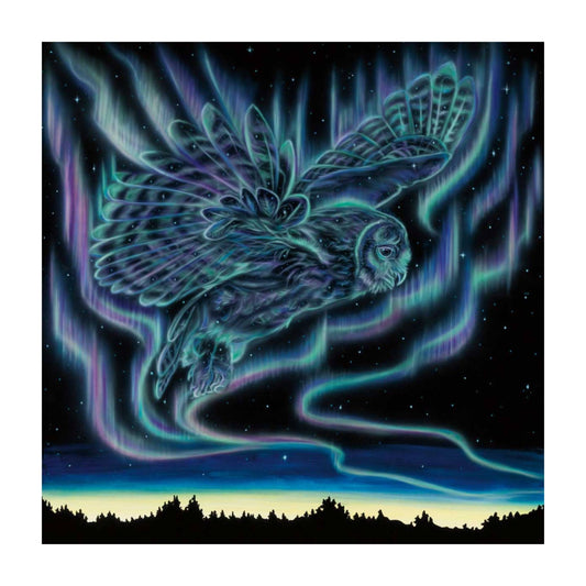 Sky Dance – Owl By Amy Keller-Rempp Indigenous Art Print, First Nations, Native Americans, Northern Lights, Aurora Borealis