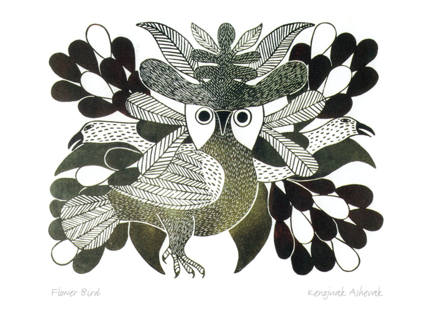 Flower Bird by Kenojuak Ashevak, Indigenous Inuit Art Card, Aboriginal Decor, Framed Art Card