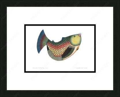 Rainbow Reflection, 2006 by Ningiukulu Teevee, Indigenous Inuit Art Card, Aboriginal Decor, Framed Art Card