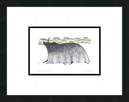 Muskox On Sea Ice, 1980 by Pudlo Pudlat, Indigenous Art Card, Inuit Framed Art Card