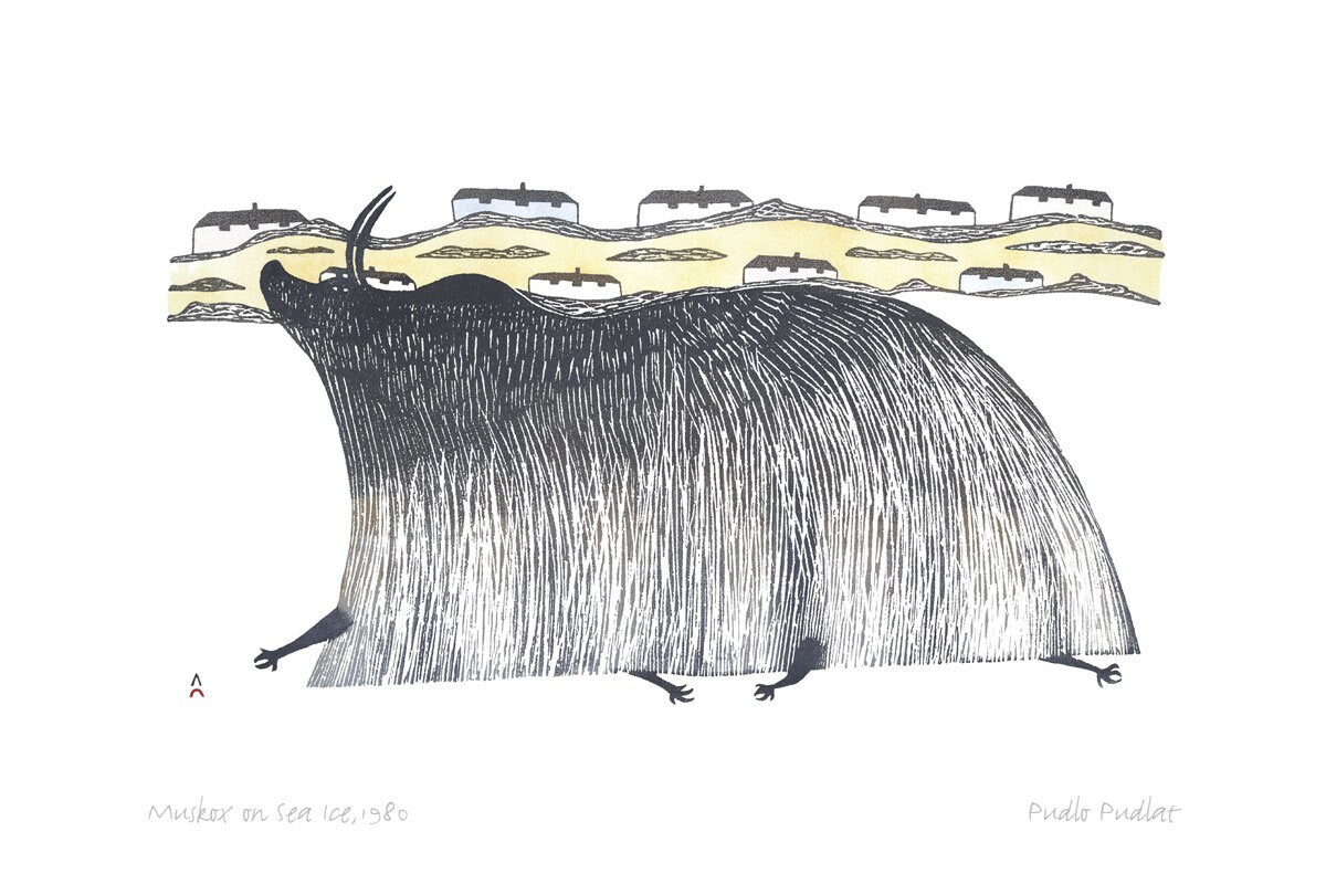 Muskox On Sea Ice, 1980 by Pudlo Pudlat, Indigenous Art Card, Inuit Framed Art Card