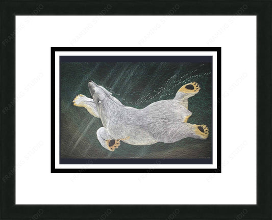 Swimming Bear, 2016 by Tim Pitsiulak, Indigenous Art Card, Inuit Framed Art Card