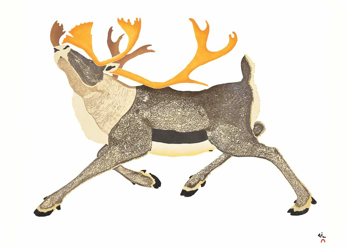 Dominant Caribou by Tim Pitsiulak, Indigenous Art Card, Inuit Framed Art Card