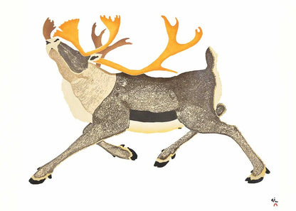 Dominant Caribou by Tim Pitsiulak, Indigenous Art Card, Inuit Framed Art Card