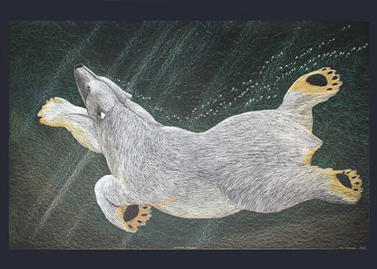 Swimming Bear, 2016 by Tim Pitsiulak, Indigenous Art Card, Inuit Framed Art Card