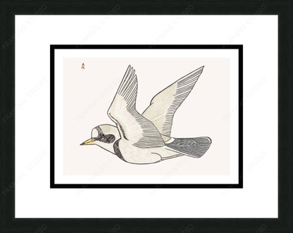 Sailing On The Breeze, 1984 by Kananginak Pootoogook, Indigenous Art Card, Inuit Framed Art Card