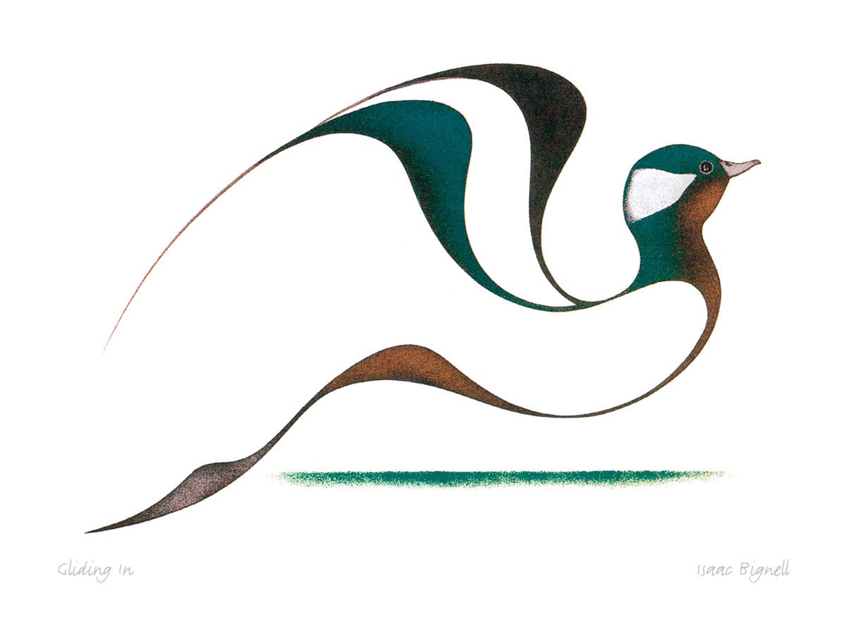 Gliding In by Isaac Bignell, Indigenous Art Card, Native Decor, Framed Art Card