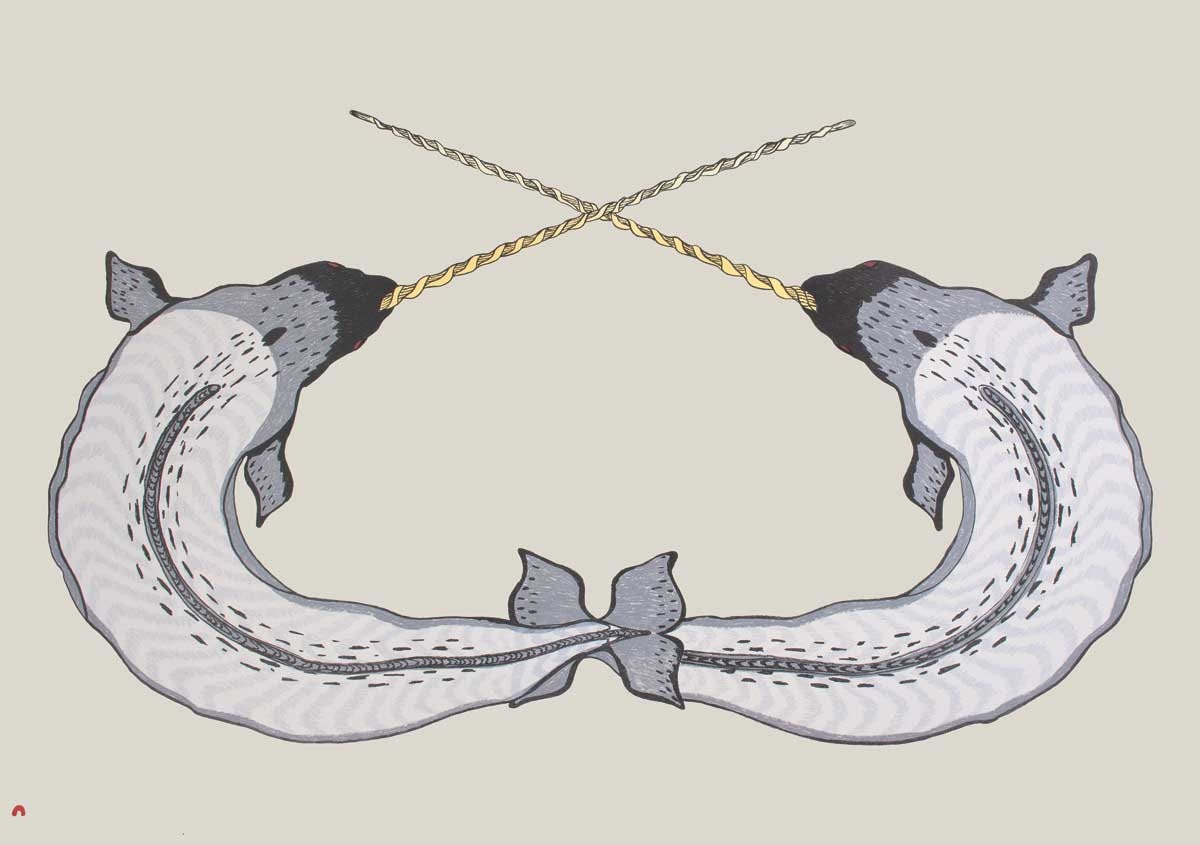 Sparring Narwhals by Quvianaqtuk Pudlat, Inuit Art Card, Framed Art Card